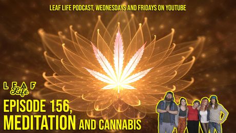 Show #156 – Meditation and Cannabis