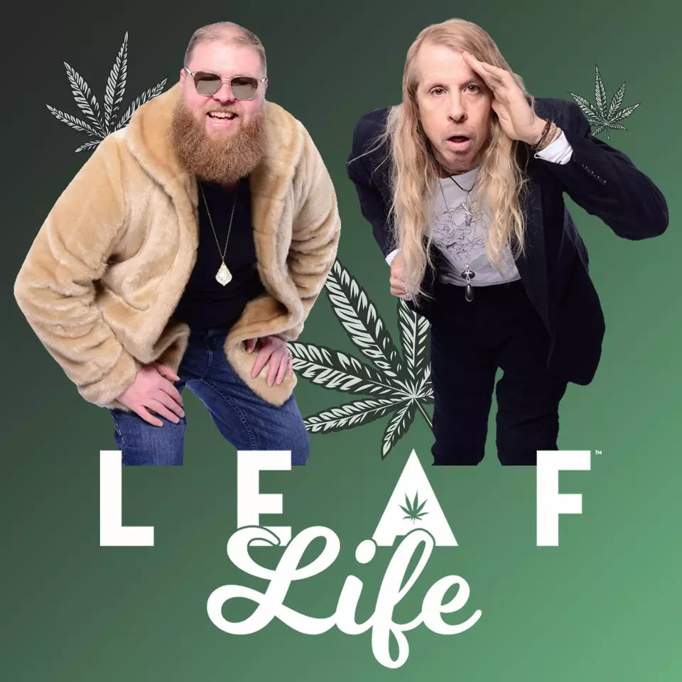 Leaf life. Life шоу.