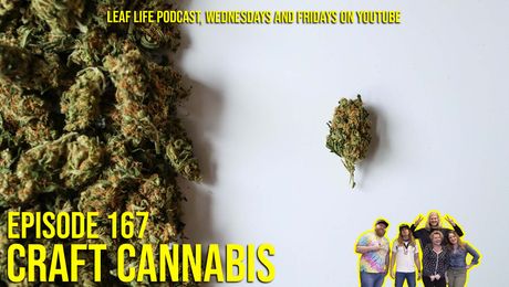 Show #167 – Craft Cannabis