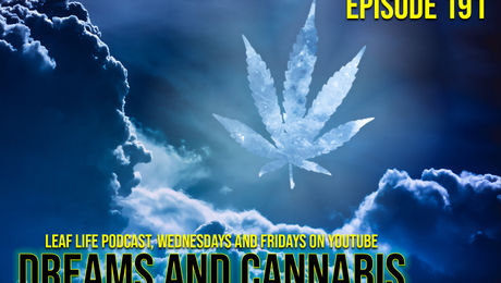 Show #191 – Dreams and Cannabis