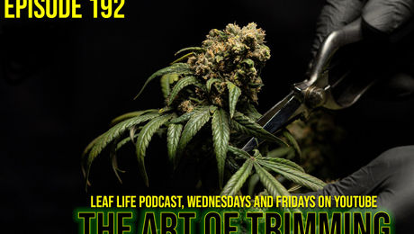 Show #192 – The Art of Trimming