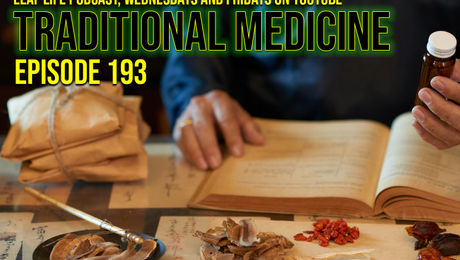 Show #193 – Traditional Medicine