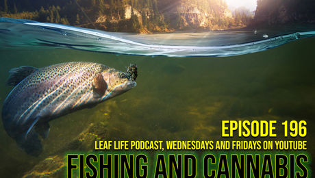Show #196 – Fishing and Cannabis