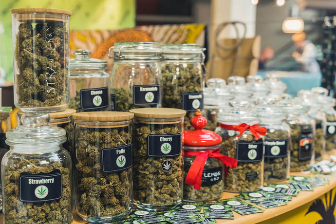 AI Cannabis Menus