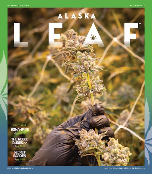 July 2022 - Northeast Leaf by Northwest Leaf / Oregon Leaf / Alaska Leaf /  Maryland Leaf / California Leaf / Northeast Leaf - Issuu