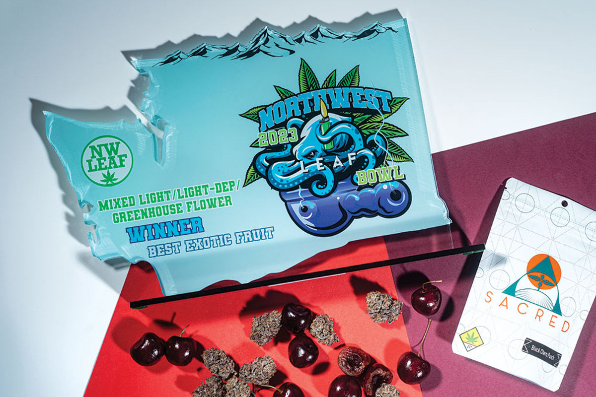 Black Cherry Punch Leaf Nation