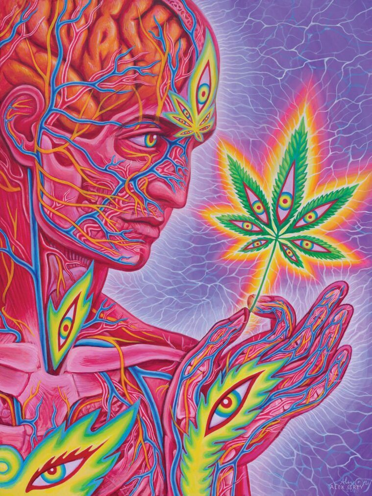 alex grey eye of spirit meaning