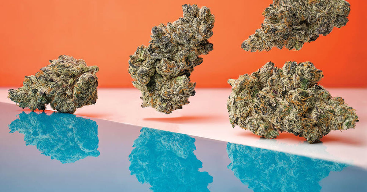 Dirty Bird Leaf Nation