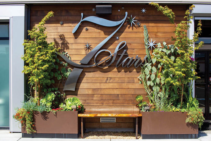 7 Stars Holistic Healing Center