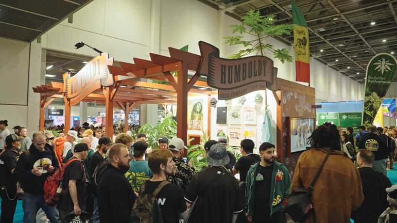 The Global Scale of Cannabis