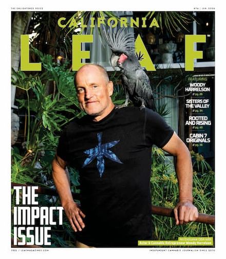 California Leaf