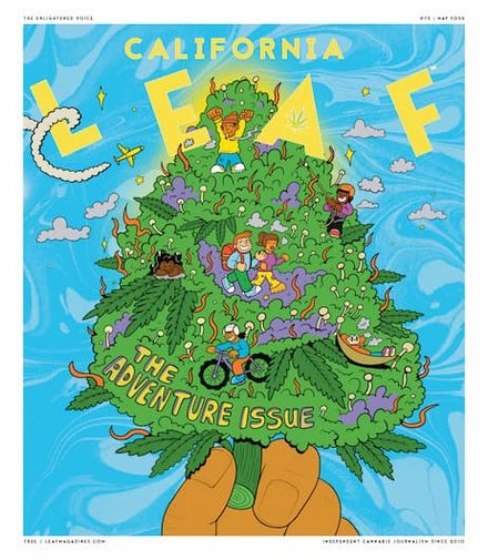 California Leaf
