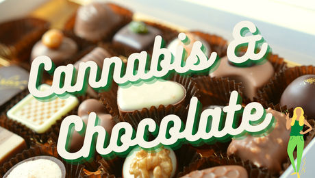 Show #155 – Cannabis and Chocolate