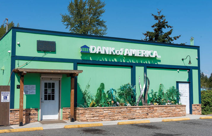 Shop Review: Dank of America