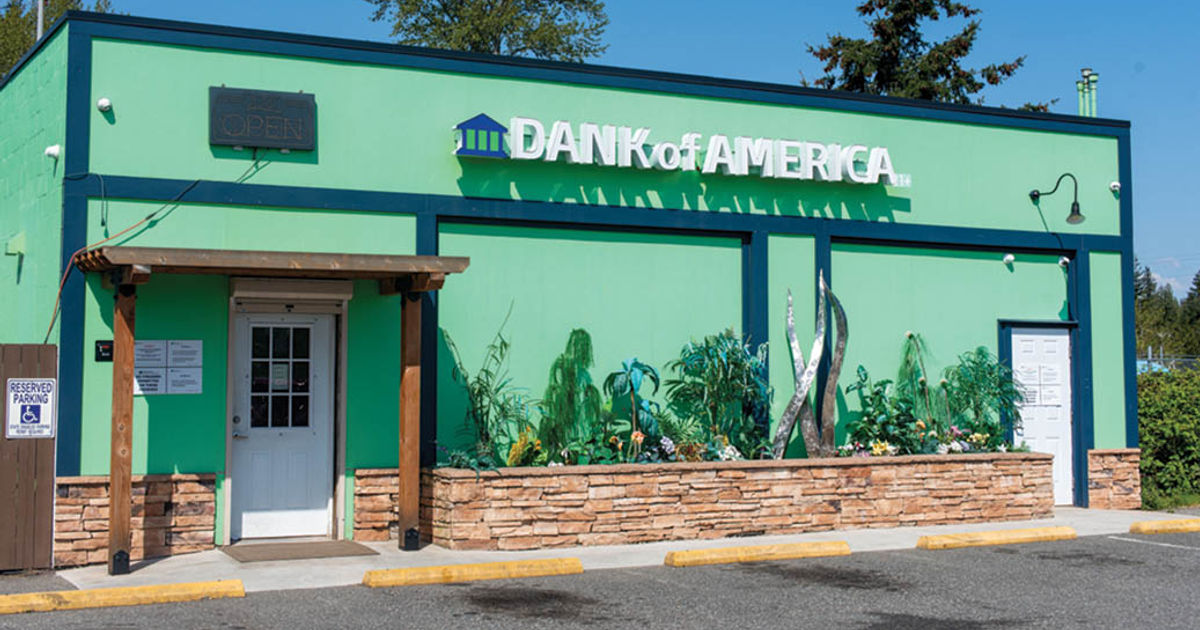 photo of Shop Review: Dank of America image