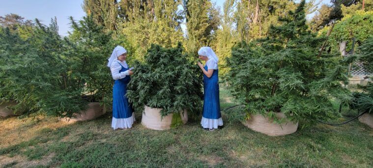 Sisters tend to the garden's growing plants.