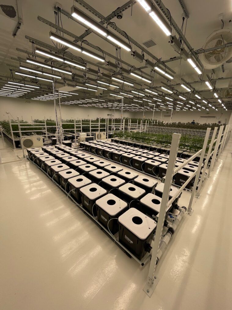 Inside Mammoth Inc's state-of-the-art facility.