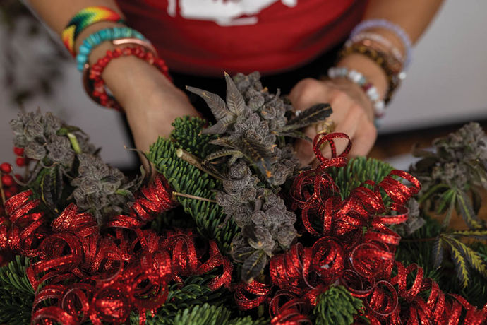 Wild Harvest Your Own Winter Wreath