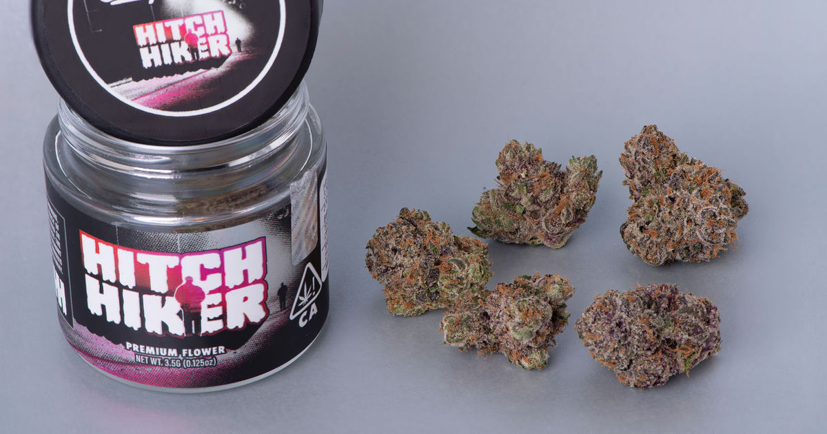 Hitchhiker Leaf Nation