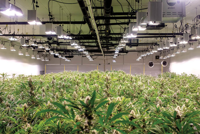 Grow Tour: Smokey Point Productions