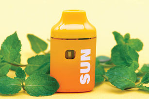 Mint Jelly Live Resin All-in-One