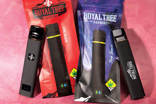 All In One Disposables