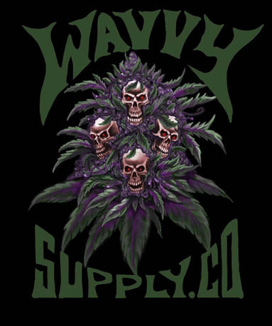 Riding the Wavves: Wavvy Supply Co.