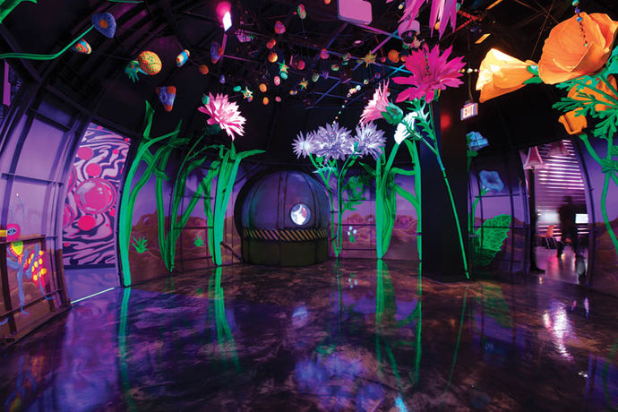 The Adventures of Meow Wolf