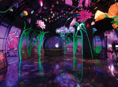 The Adventures of Meow Wolf