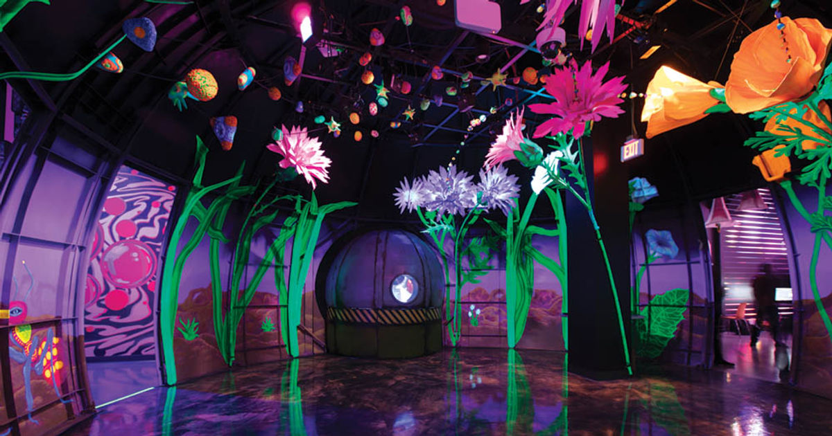 The Adventures of Meow Wolf