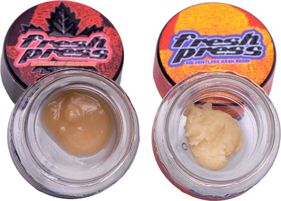 Black Maple and Papaya Burger Live Rosin