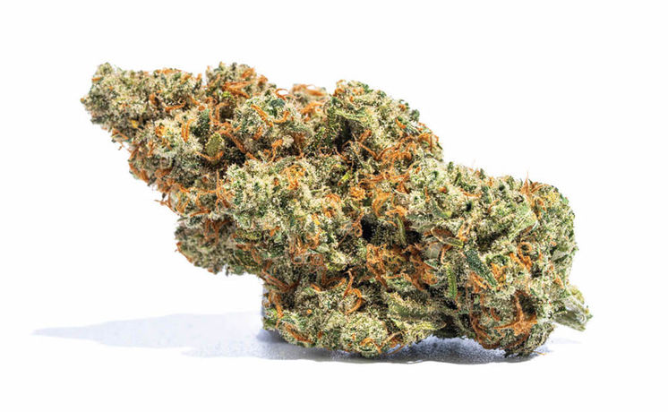 Flavors of Flower
