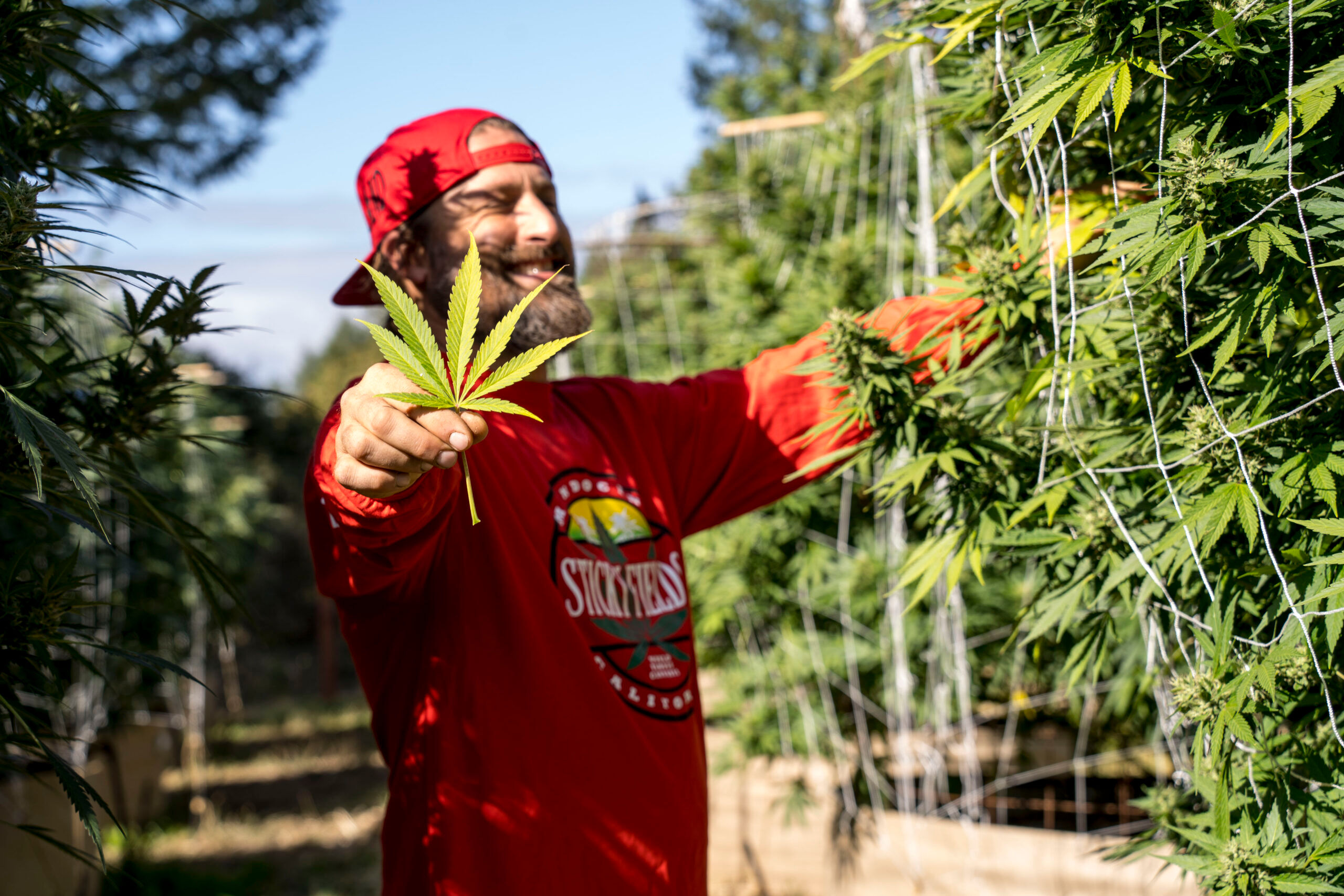 Jesse Robertson is a legacy cultivator in Humboldt County.