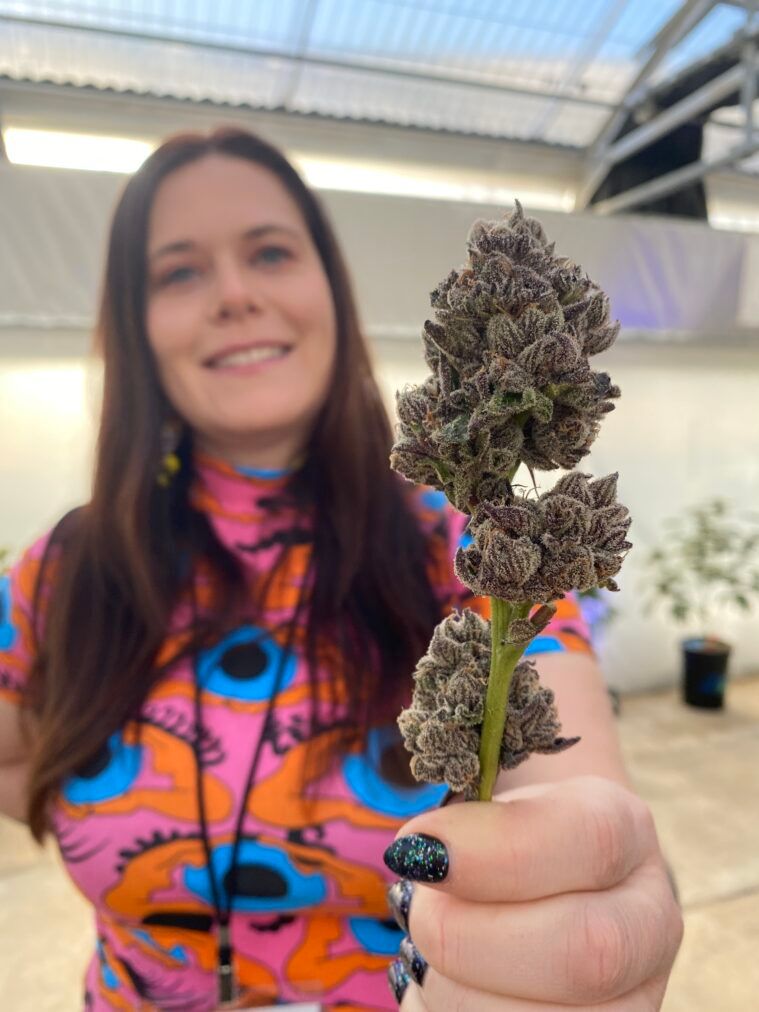 Botanical Geneticist Kay Watts shows off a secret new strain she's developing for release in Q3 2022.