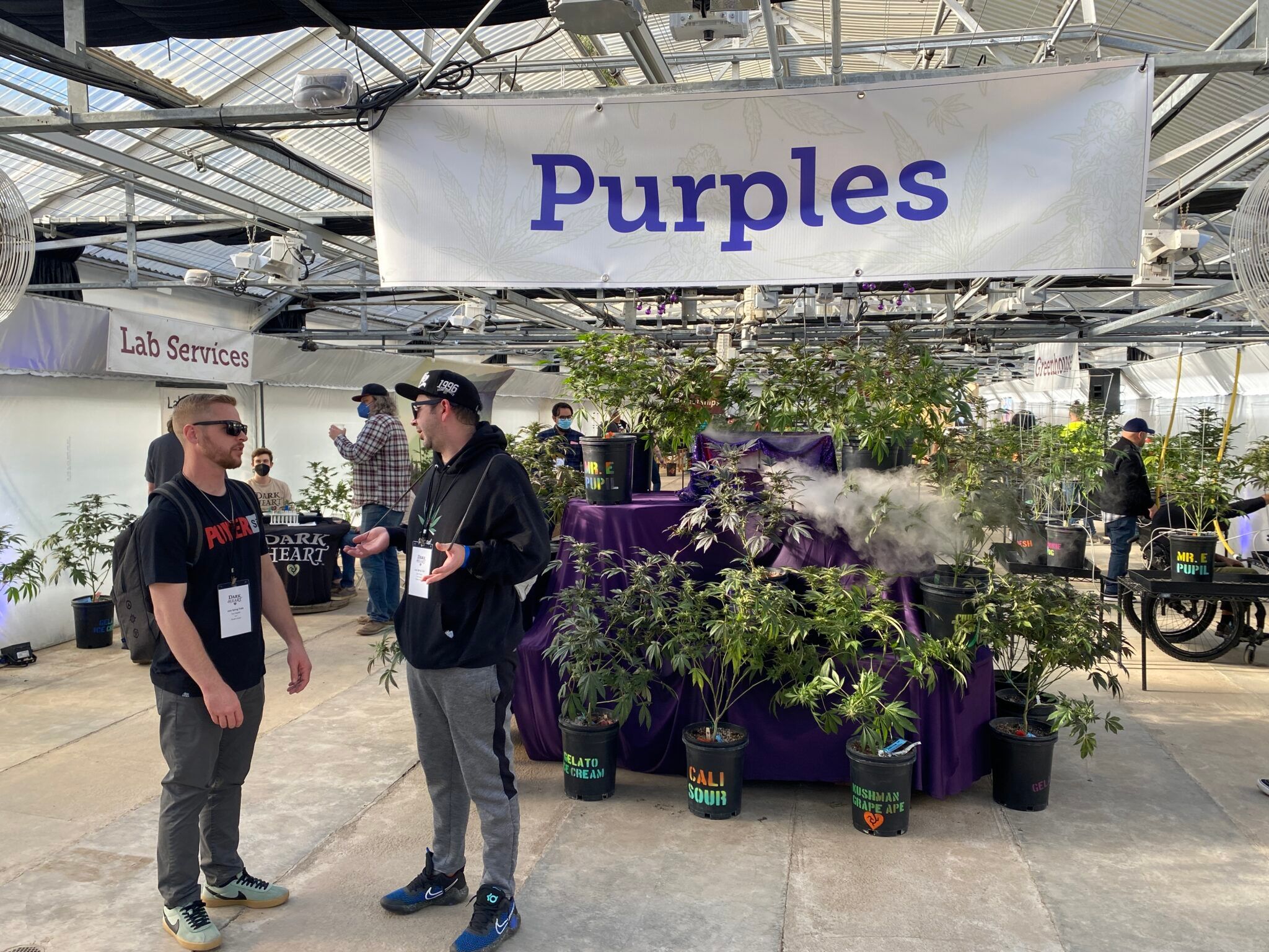 Dark Heart Nursery unveils Cannabis breakthrough at Spring