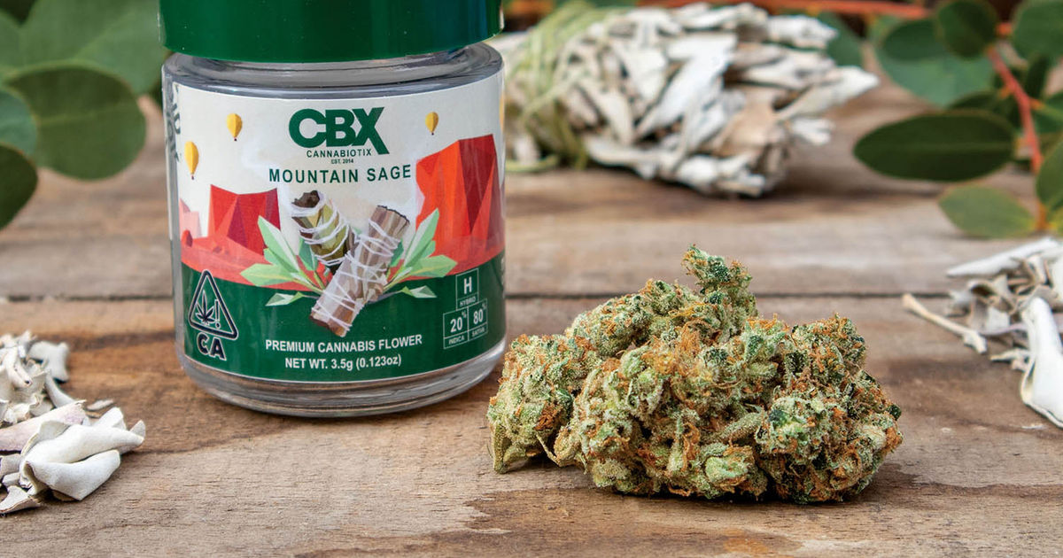 Mountain Sage Leaf Nation