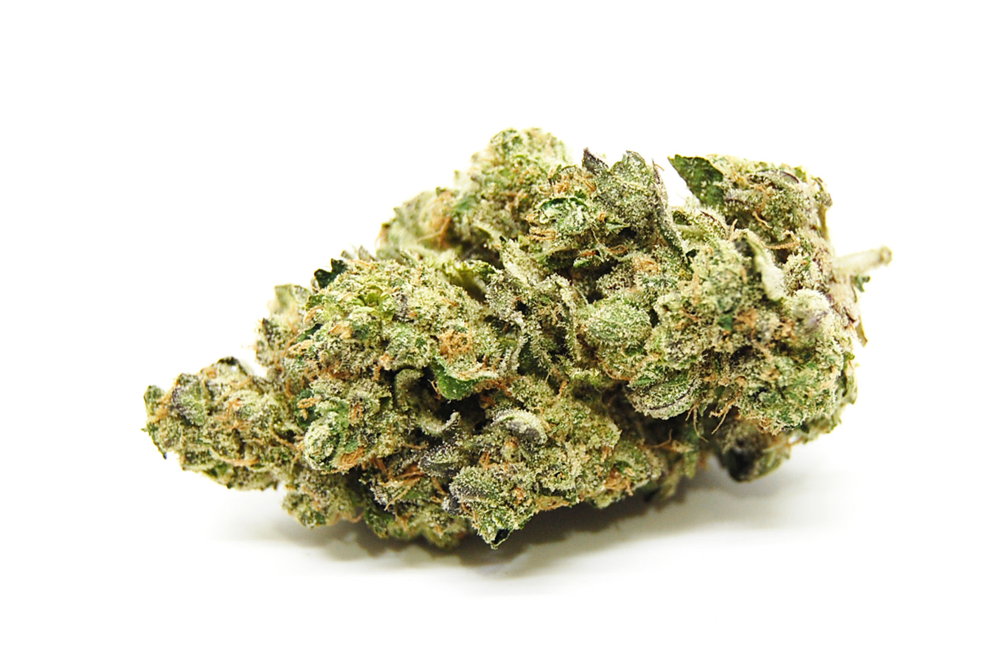 Burnt River Farms Leaf Nation