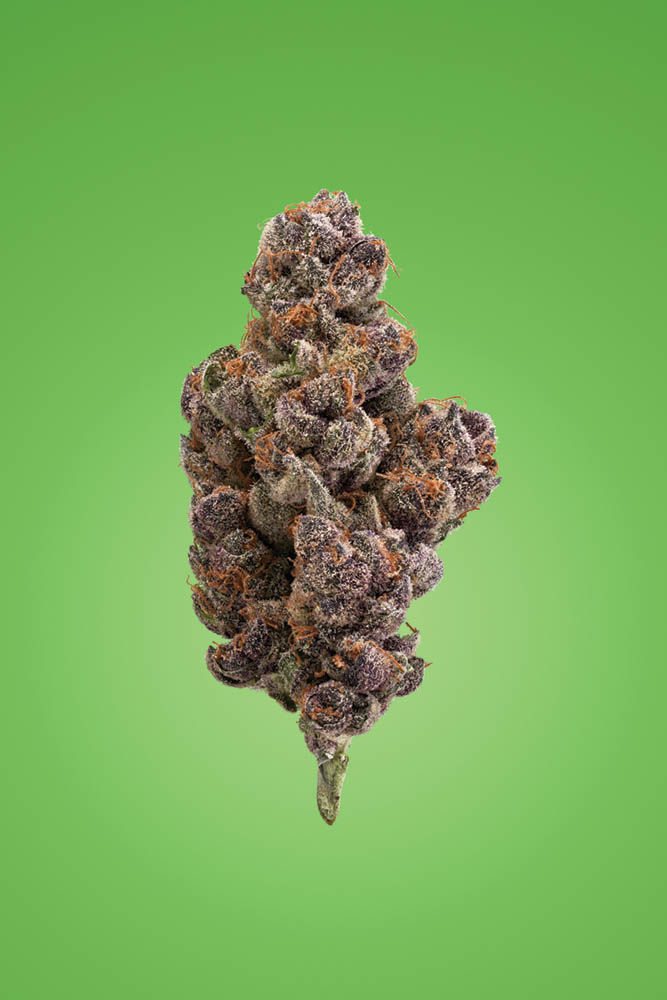 Tropicana Cookies from New Amsterdam Cannabis