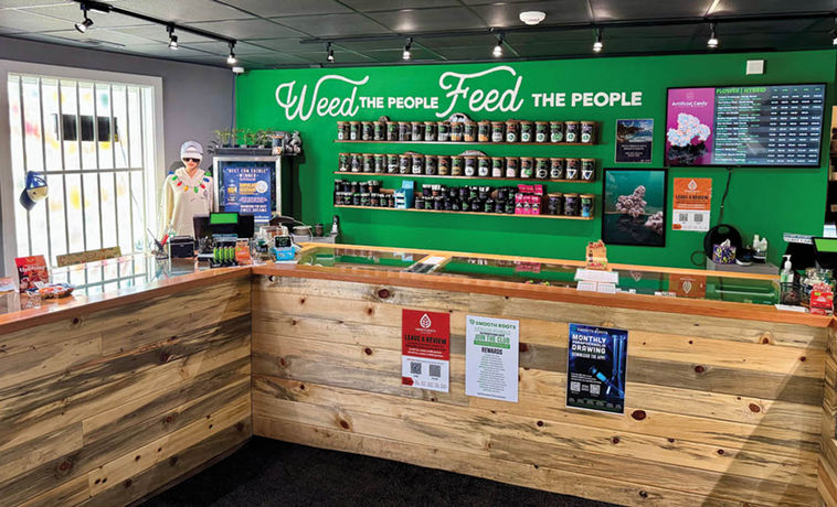 Shop Review: Smooth Roots