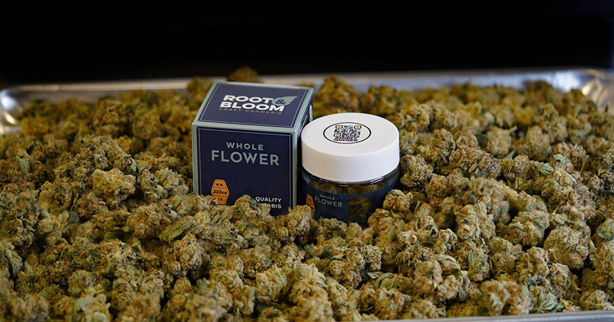 Angry Ginger Leaf Nation