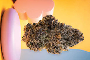 Candy Cartel