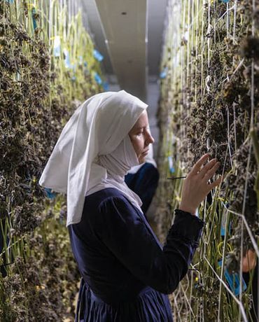 The Holy Flower: Sisters of the Valley Take a Pot Pilgrimage