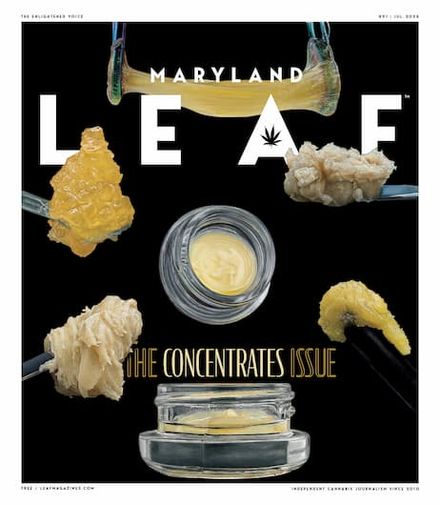 Maryland Leaf