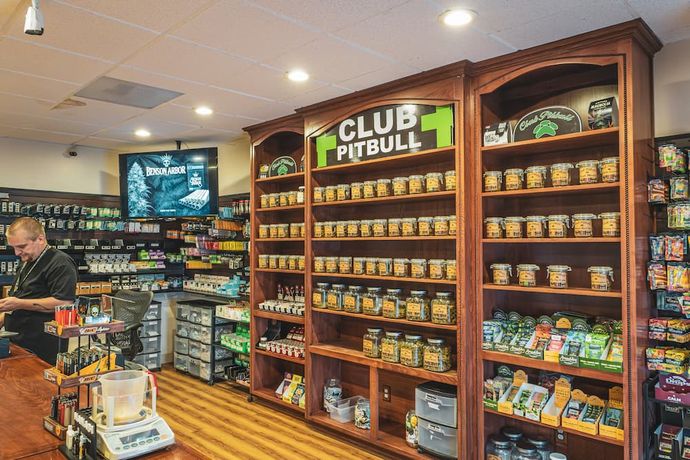 Shop Review: Club Pitbull