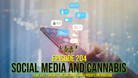 Show #204 – Social Media and Cannabis