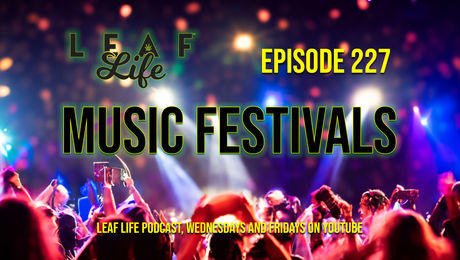 Show #227 – Music Festivals