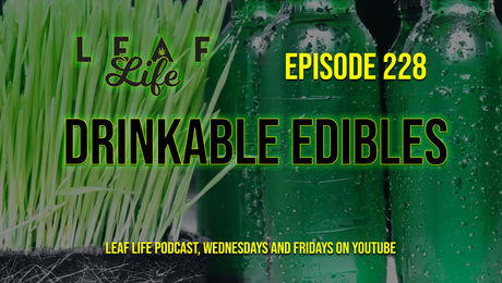 Show #228 – Drinkable Edibles