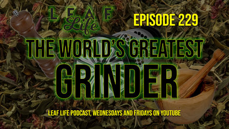 Show #229 – The World’s Greatest Grinder
