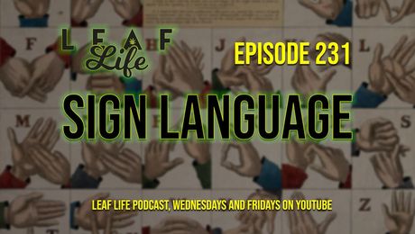 Show #231 – Sign Language