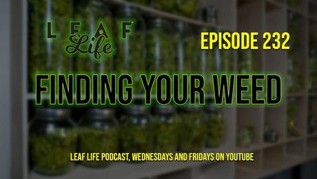 Show #232 – Finding Your Weed